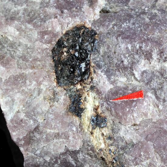 Belovite-(Ce)