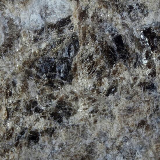 Bornemanite
