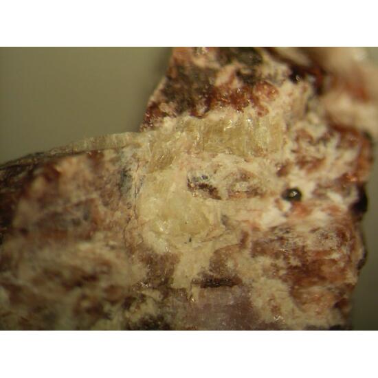 Belovite-(Ce)