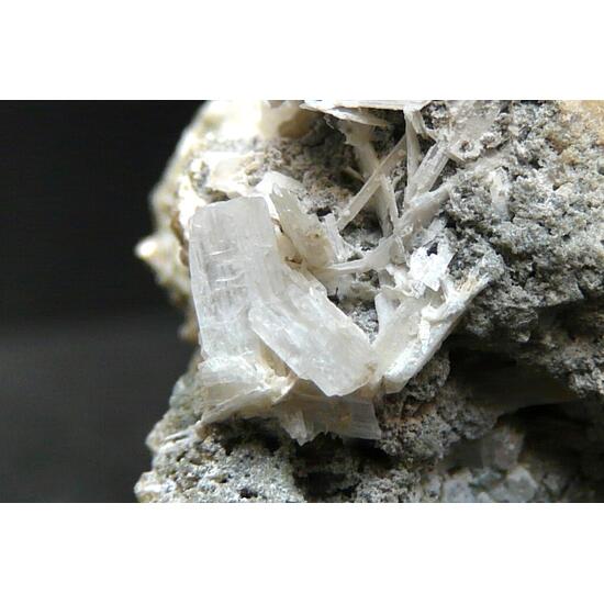 Latiumite