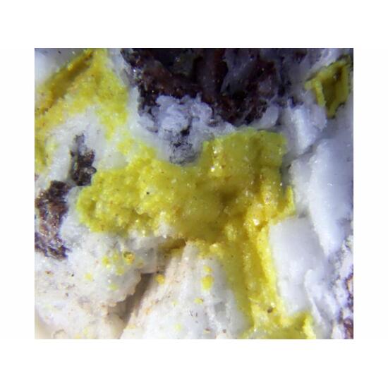 Tsumcorite