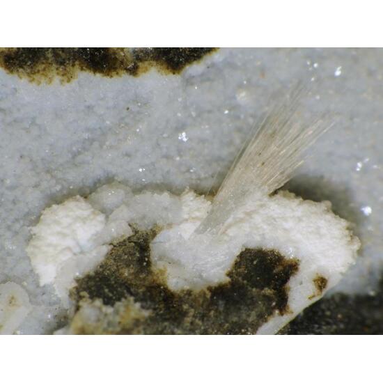 Tacharanite & Gonnardite