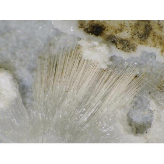 Tacharanite & Gonnardite