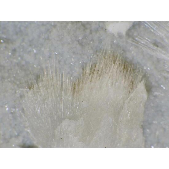 Tacharanite & Gonnardite