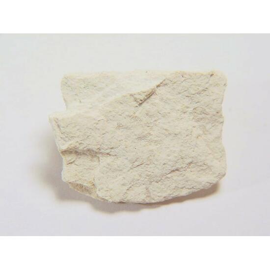 Coesite & Stishovite