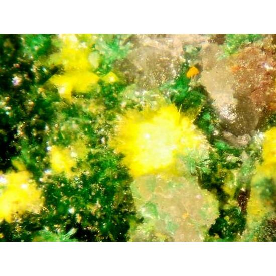 Guilleminite
