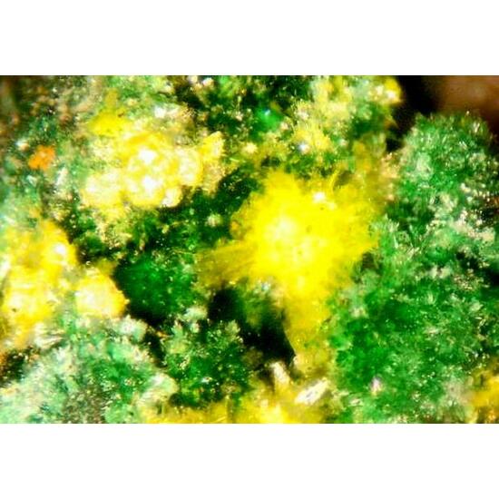 Guilleminite