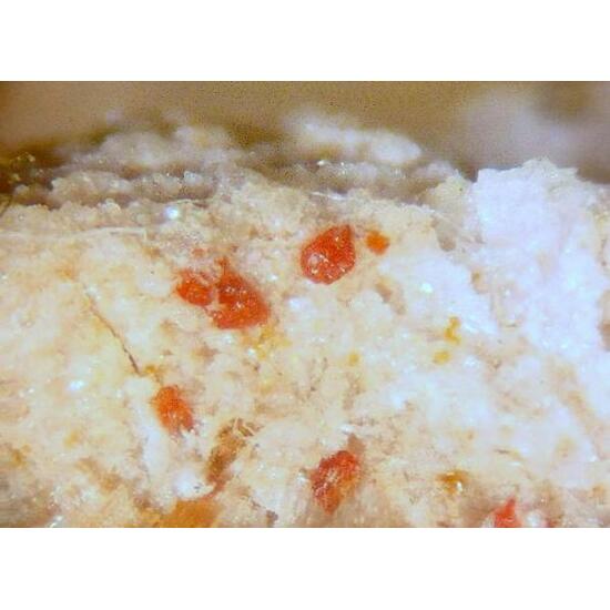 Maxwellite