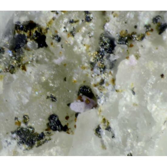 Bonacinaite