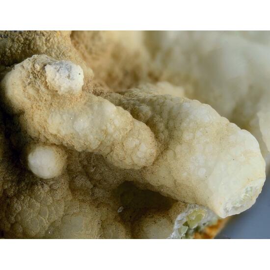 Evansite
