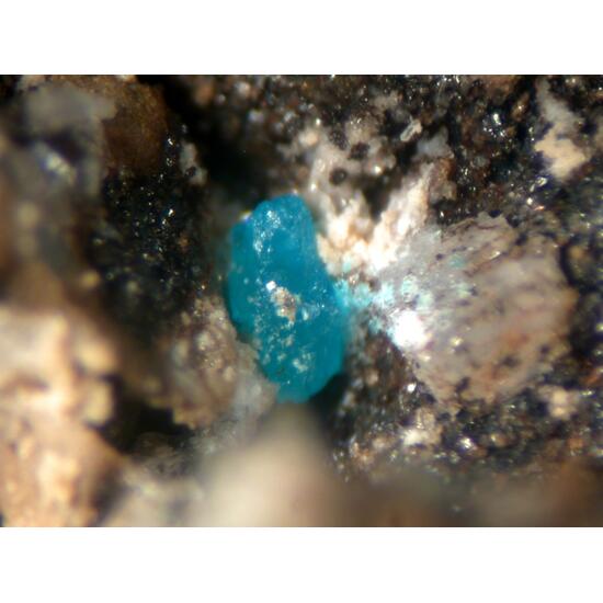 Liroconite Alleghanyite & Covellite