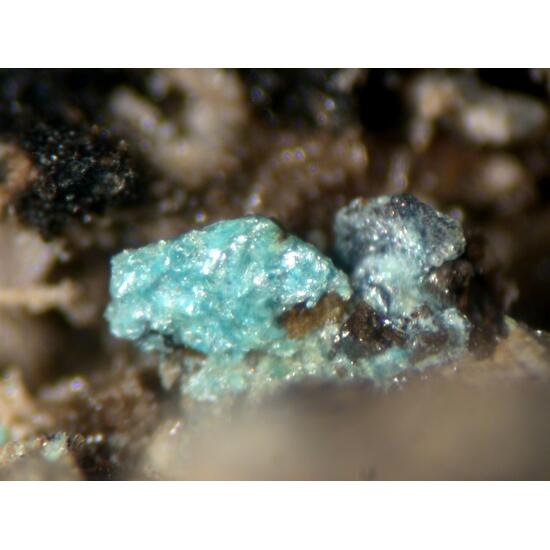 Liroconite Alleghanyite & Covellite