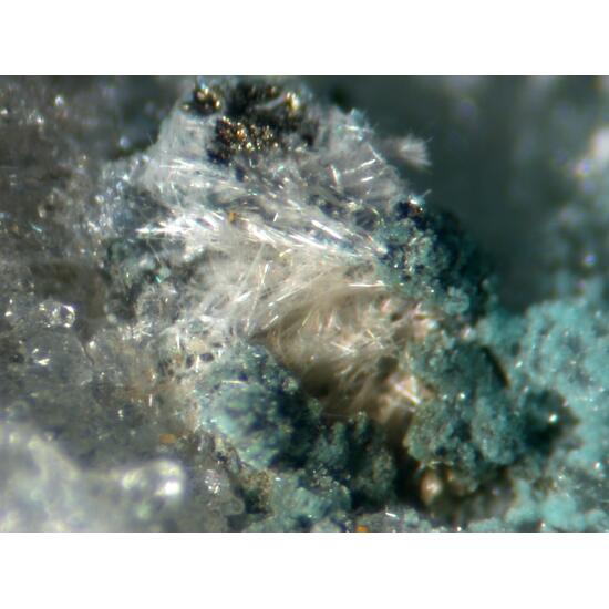Steverustite Caledonite & Susannite