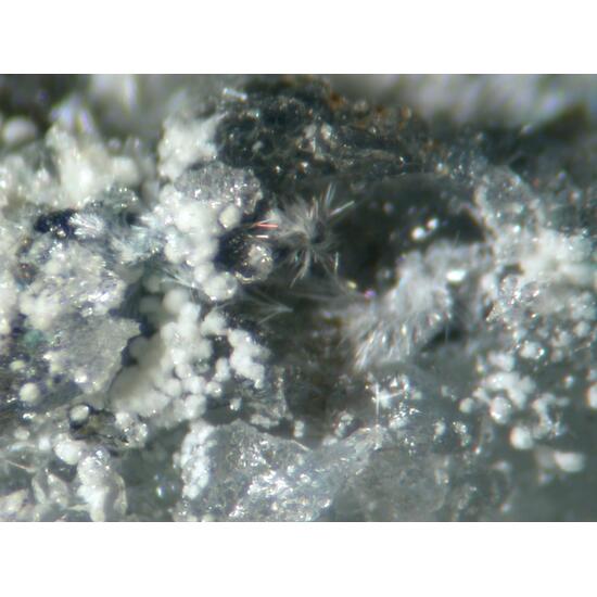 Steverustite Caledonite & Susannite