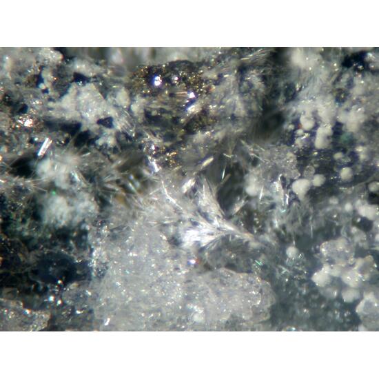 Steverustite Caledonite & Susannite
