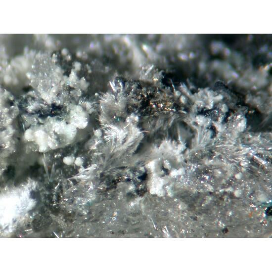 Steverustite Caledonite & Susannite
