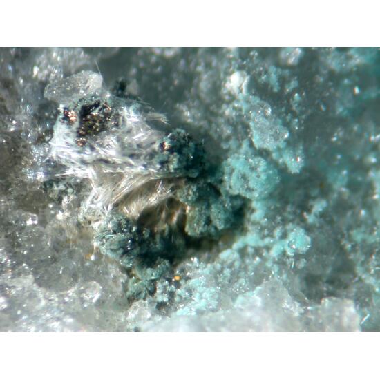Steverustite Caledonite & Susannite
