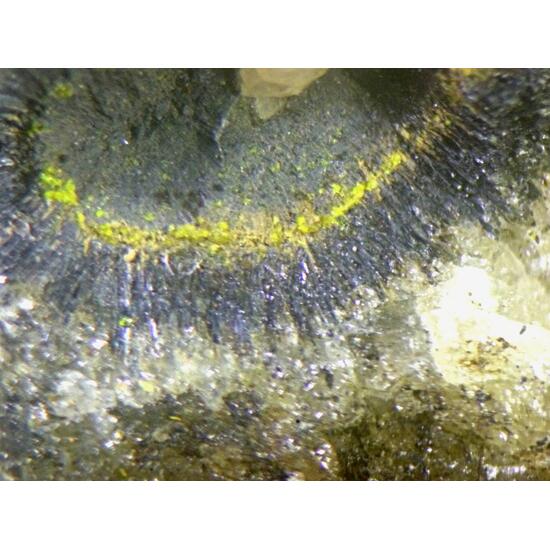 Montroseite