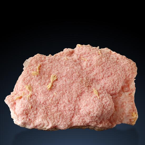 Rhodochrosite & Selenite