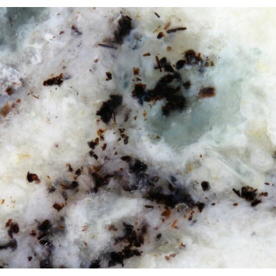 Sharyginite