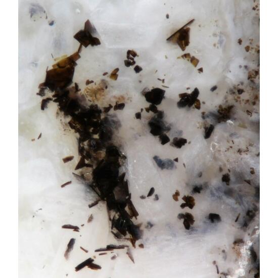 Sharyginite