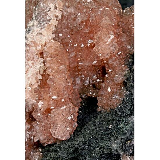 Hureaulite & Frondelite-Rockbridgeite Series Psm Vivianite