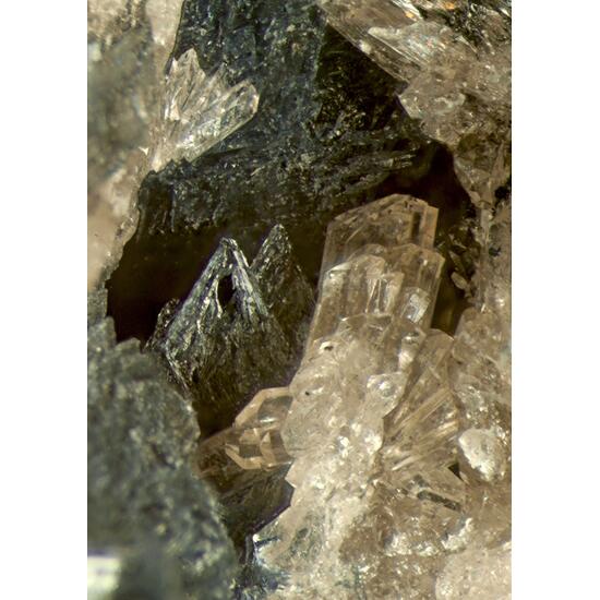 Hureaulite & Frondelite-Rockbridgeite Series Psm Vivianite