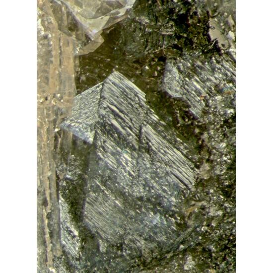 Hureaulite & Frondelite-Rockbridgeite Series Psm Vivianite