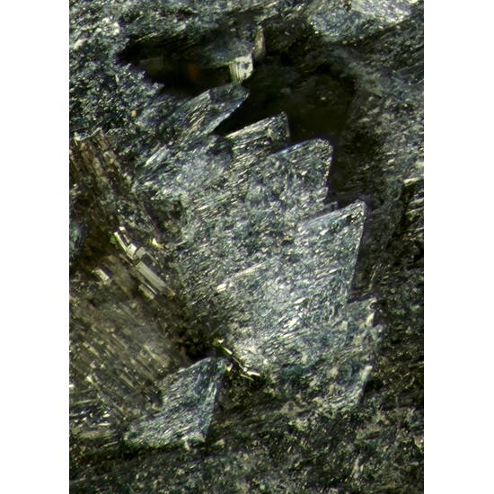 Hureaulite & Frondelite-Rockbridgeite Series Psm Vivianite