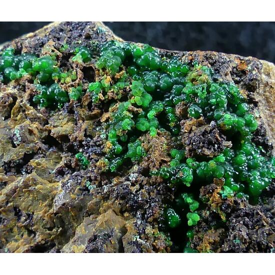 Conichalcite & Lavendulan