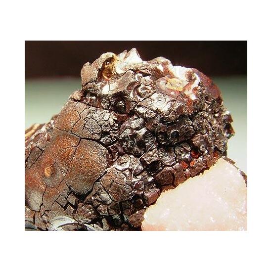 Rhodochrosite & Neotocite