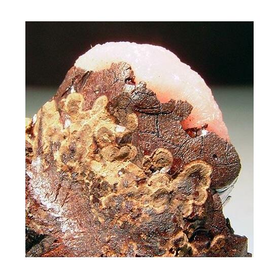 Rhodochrosite & Neotocite