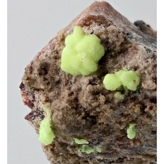 Schröckingerite