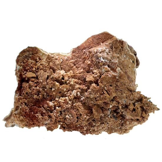 Dolomite Shell