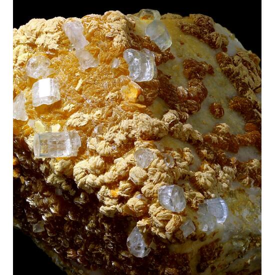 Apatite & Orthoclase