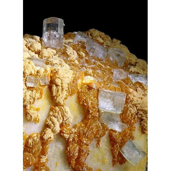 Apatite & Orthoclase