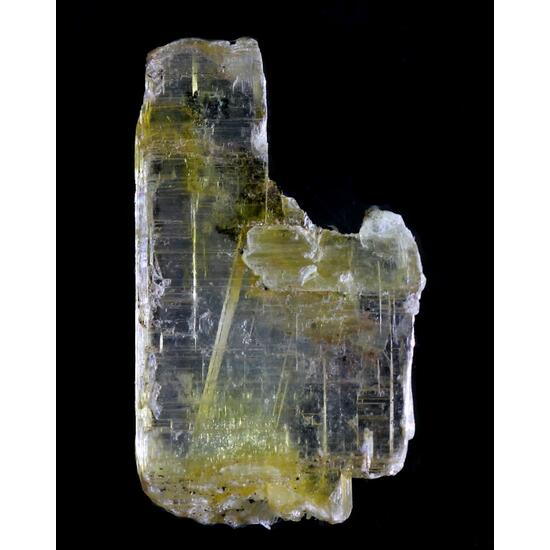 Leiteite