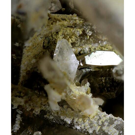 Quartz & Albite