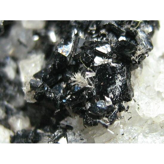 Fluorite Apatite & Hornblende