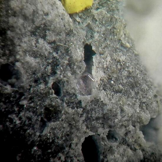 Lanthanite-(Nd)