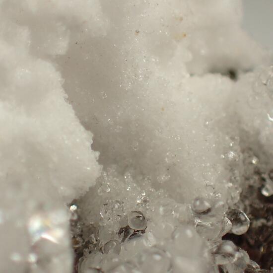 Hyalite & Aragonite