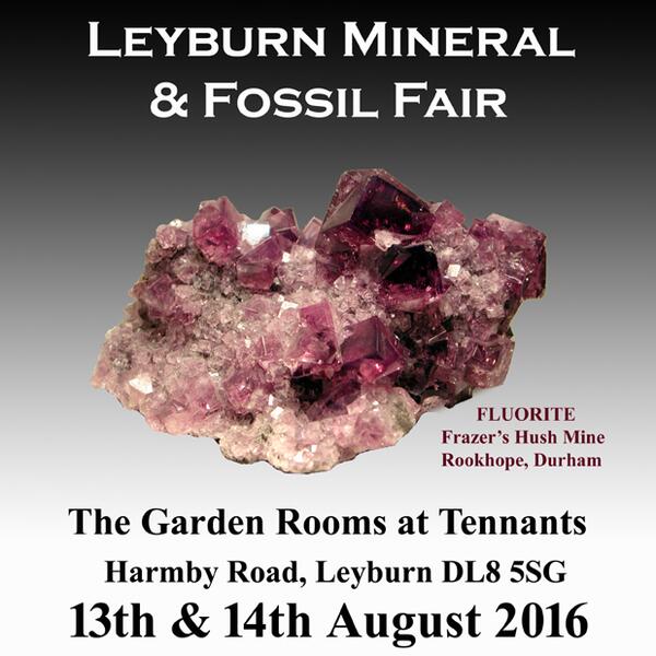Content image: New Mineral Show in the UK