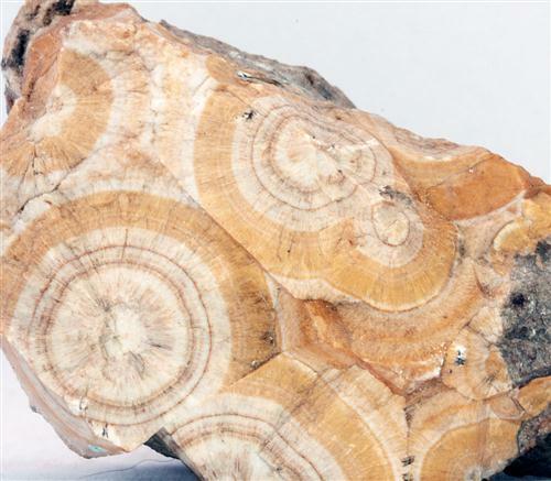 Content image: Not Many UK Minerals that begin with X