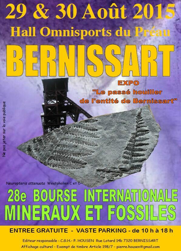 Content image: 28th Bernissart Club Show