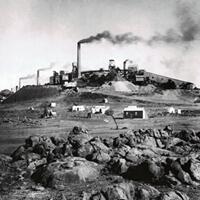 Content image: Magnificent Broken Hill Collection & Obstruction of a Sub-Inspector by a Publican