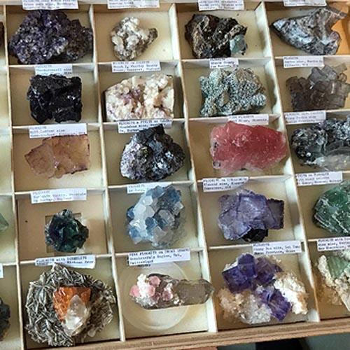 Content image: New Collection at TVM