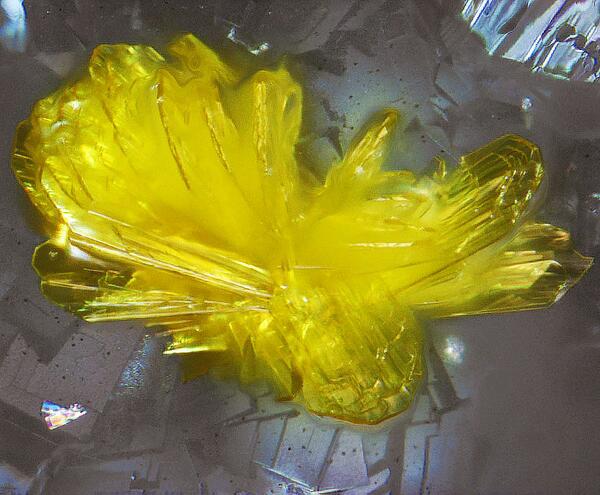 Content image: Another Van der Mineral