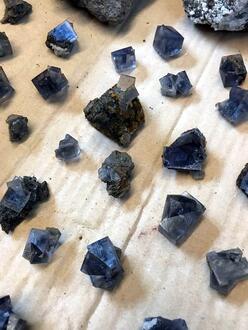 Photos: More Weardale Blues