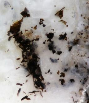 Photos: Sharyginite - New Mineral