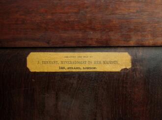 Photos: Lost Treasure